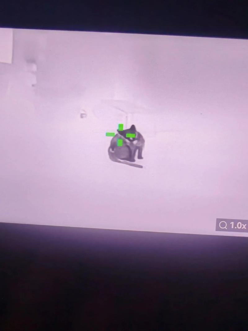 夏天,我想要吊带自由【暗区突围直装软件】